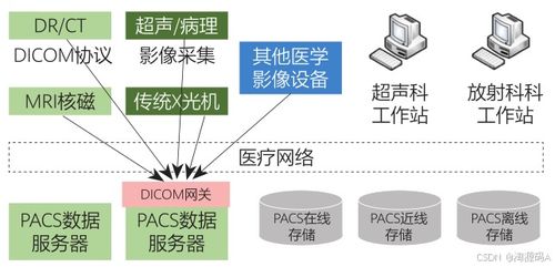 数字化医学影像系统PACS 源码、存储传输与三维重建功能解析